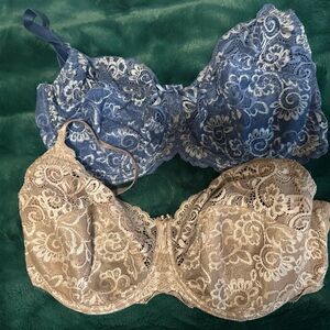 Panache 34G bras (2)